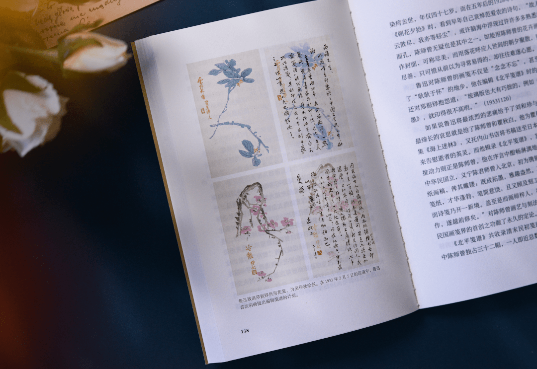 “如果荒岛求生只带一本书，我选它”