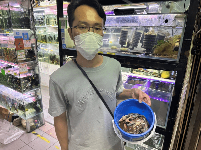 香港：水族店12缸鱼虾惨遭漂白水毒杀，损失逾2万港元