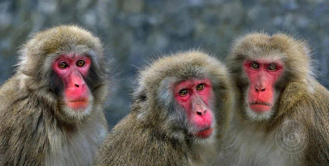 2022波黑第五届概念数码照片国际摄影展览（截稿：12月1日）