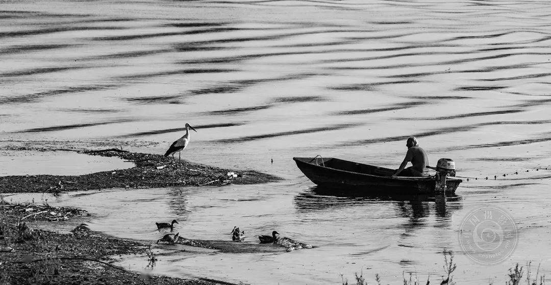 2022波黑第五届概念数码照片国际摄影展览（截稿：12月1日）