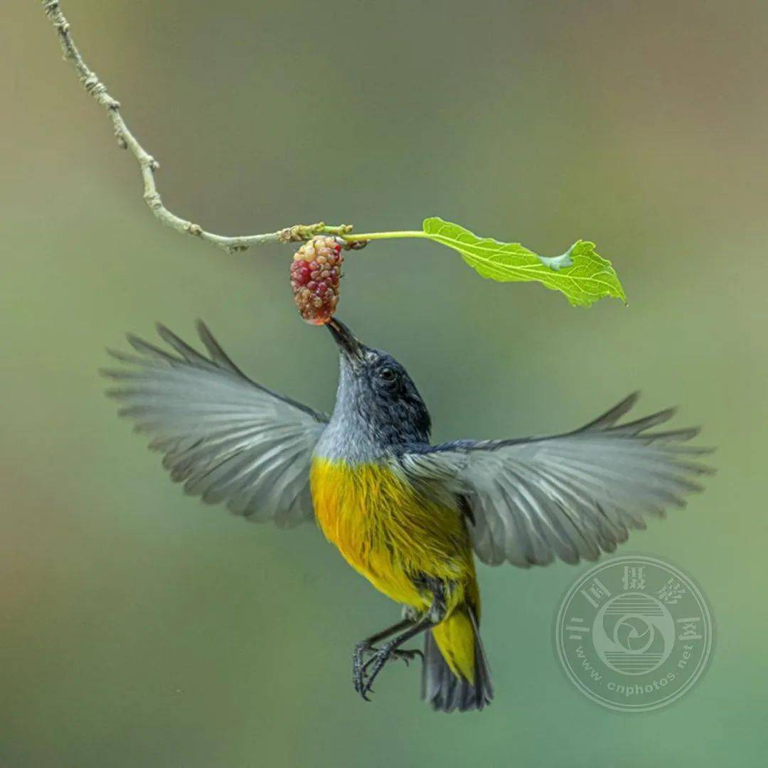 2022波黑第五届概念数码照片国际摄影展览（截稿：12月1日）