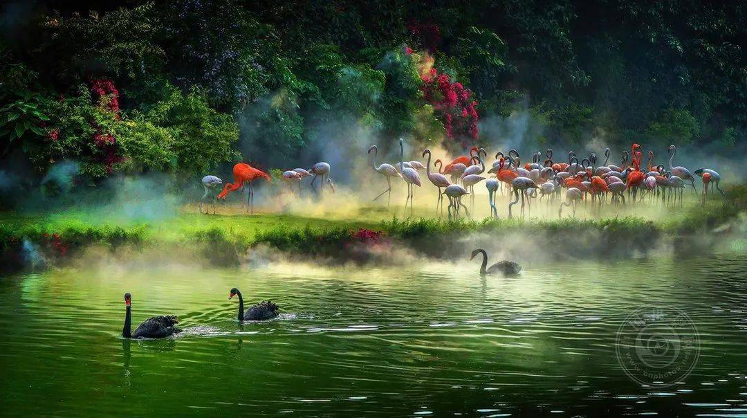 2022波黑第五届概念数码照片国际摄影展览（截稿：12月1日）