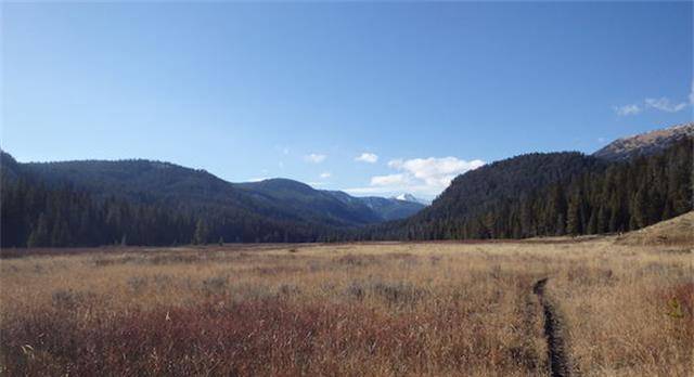 黄石公园关闭！雷暴引发1338英亩的大火，关闭了步道和营地