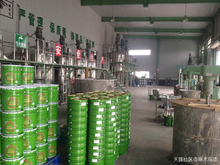 乳胶漆、3D彩粒漆、硅藻泥代理哪个品牌好？