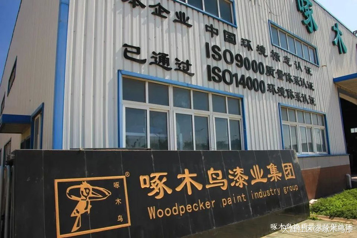 乳胶漆、3D彩粒漆、硅藻泥代理哪个品牌好？