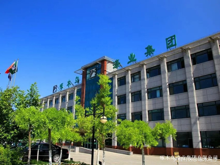 乳胶漆、3D彩粒漆、硅藻泥代理哪个品牌好？