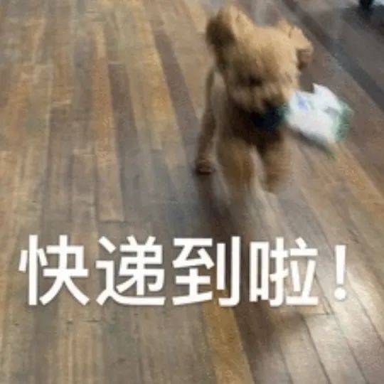 怎么一夜之间，刘亦菲头像刷屏半个朋友圈