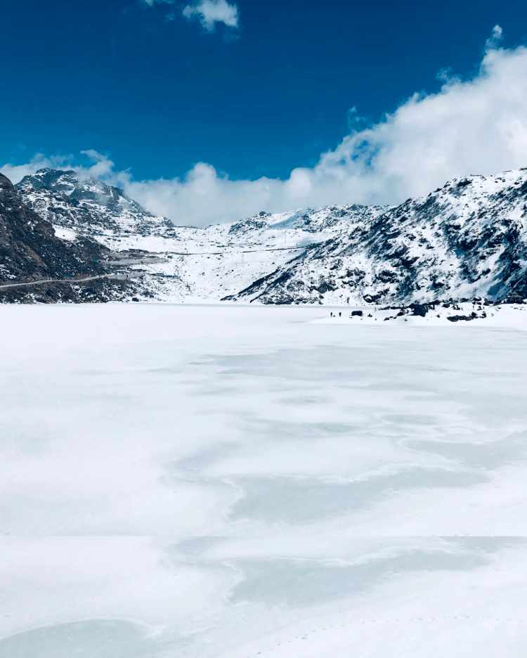 郑州人注意！4月1日起正式开始……