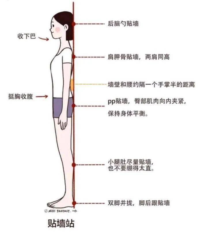 为何中年人的肚子最难减?教你一个小动作,调动体内的“瘦身脂肪”,轻松瘦腰!快学~