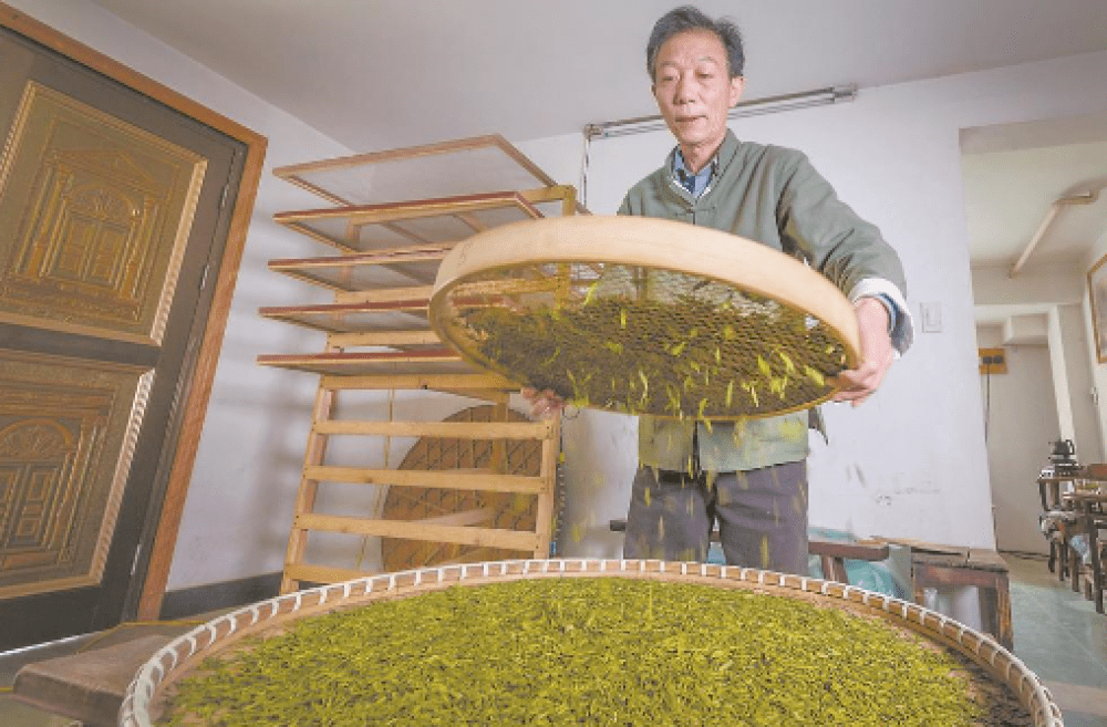 闽滇浙皖贵五省代表委员共话茶产业发展：点绿成金 一叶茶促一业旺