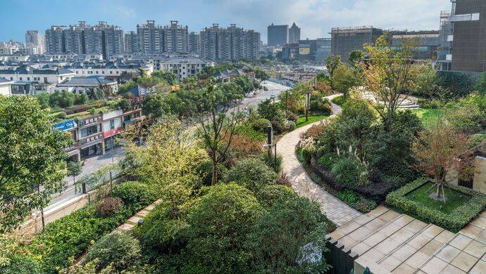 离开地面造绿，上海立体绿化总量超过550万平方米