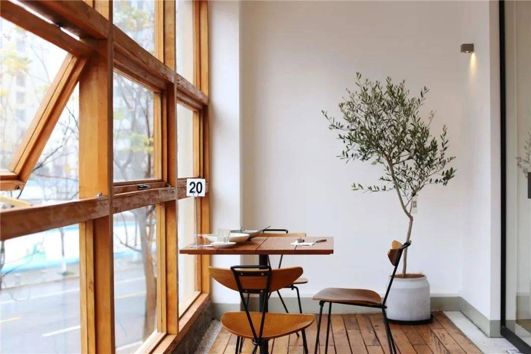 可漫步、有看头,春日就去宁波“荡马路”