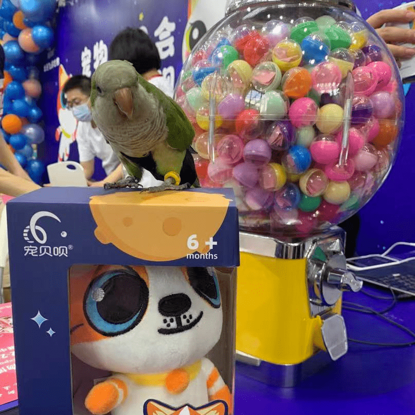 深宠展回顾丨萌宠派对圆满收官，欢趣绽放！