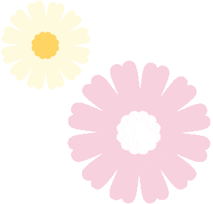 深宠展回顾丨萌宠派对圆满收官，欢趣绽放！