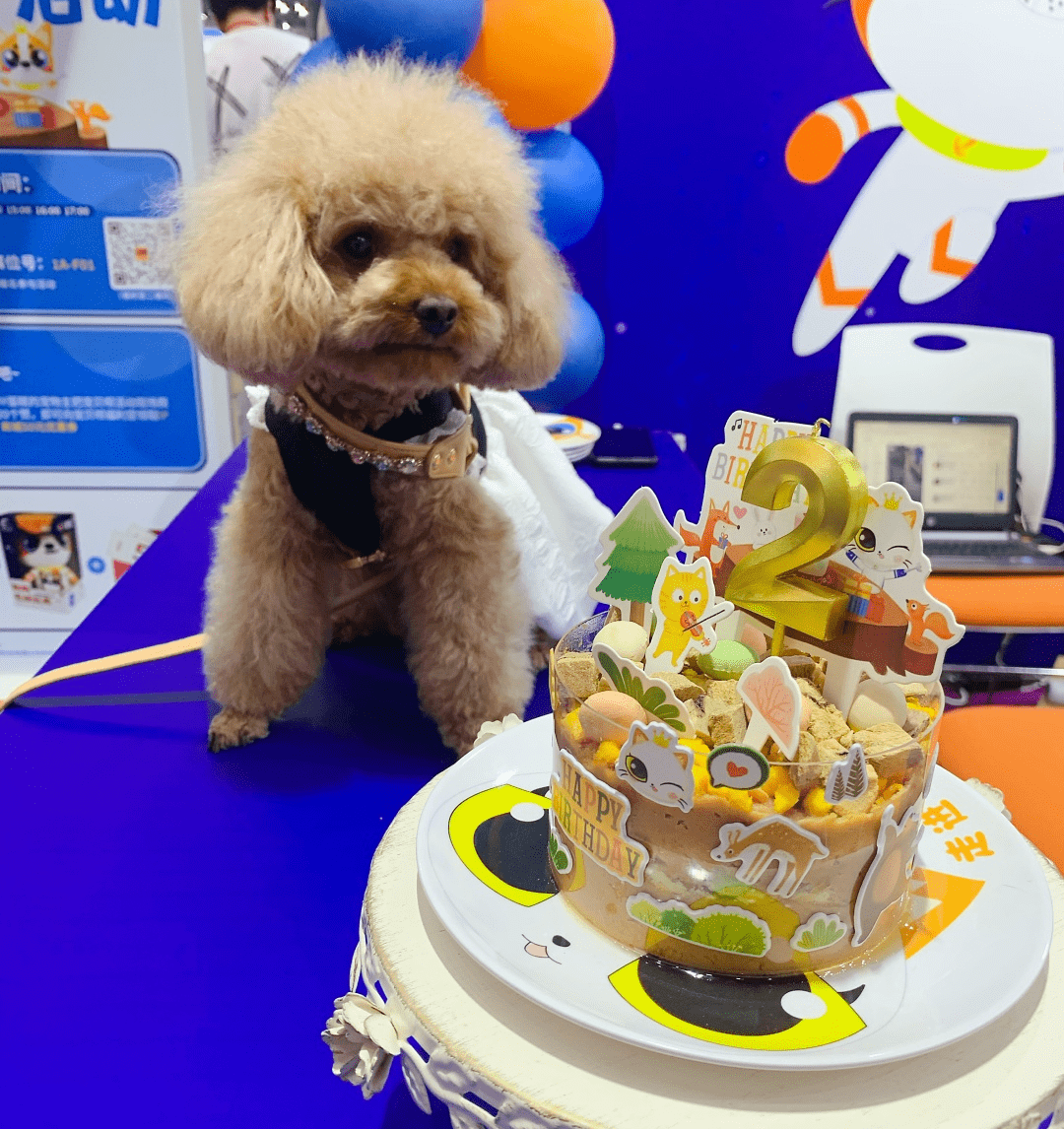 深宠展回顾丨萌宠派对圆满收官，欢趣绽放！