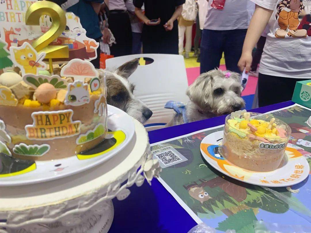 深宠展回顾丨萌宠派对圆满收官，欢趣绽放！