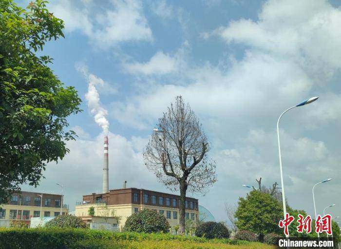 【绿色中国】浙江丽水绿色发展“新活法” “双碳”雄心如何落笔？