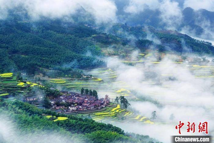 【绿色中国】浙江丽水绿色发展“新活法” “双碳”雄心如何落笔？