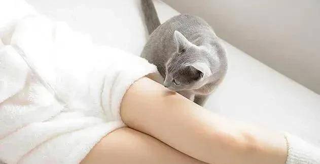 为什么酒店床上用品大多都是白色的,难道不怕滴上东西吗?