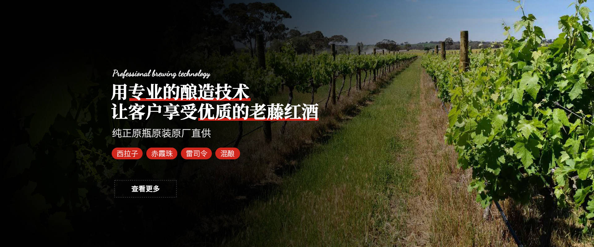 广州专业红酒批发公司：优质澳大利亚红酒批发推荐“格兰伊顿”品牌！