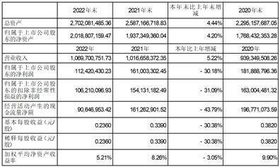 新开普电子股份有限公司2022年度报告摘要