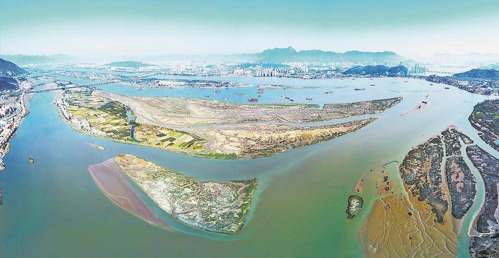 福州塔礁洲湿地公园：植物和鸟类的天堂