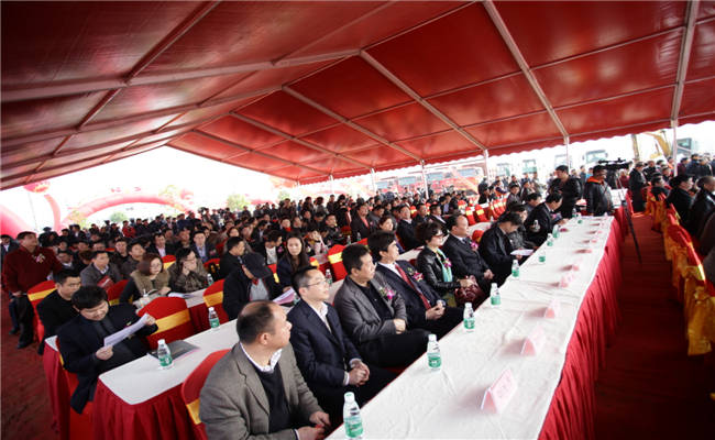 策划婚礼策划公司