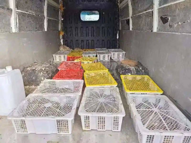 忻州市公安局检查站勤务支队查获一起非法运输野生动物案
