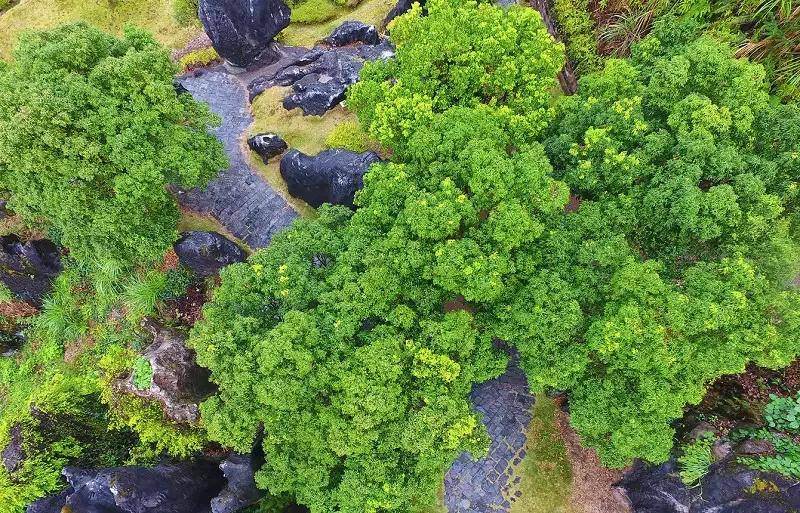 【浪漫黄姚】 诗意黄姚古镇、鬼斧神功玉石林、姚江竹筏漂流、东谭岭云海日出