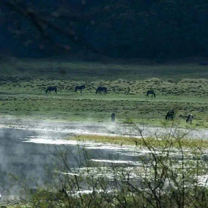 闻思速递丨饮“粥”思源 “粒”不容失