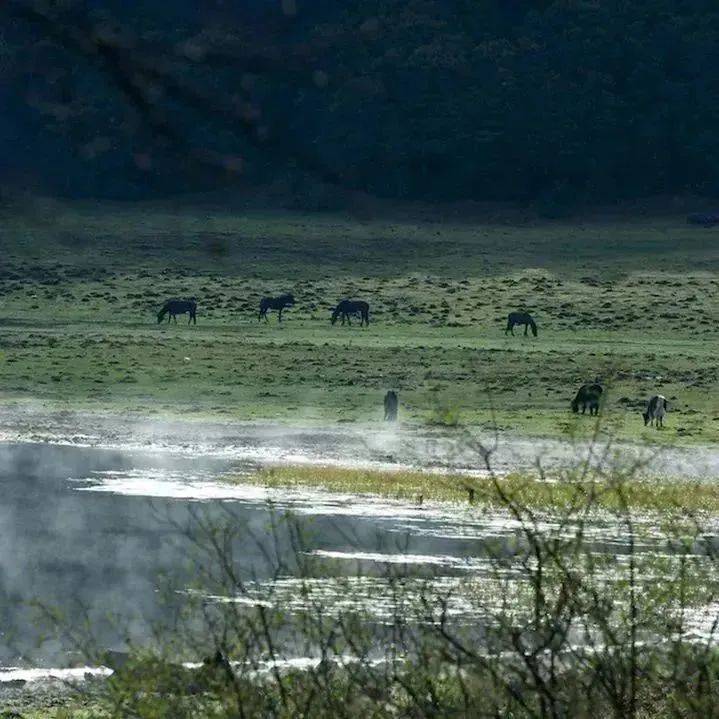 闻思速递丨饮“粥”思源 “粒”不容失