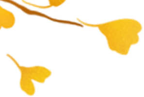 安全套怎么戴？戴两个安全套会更安全吗？