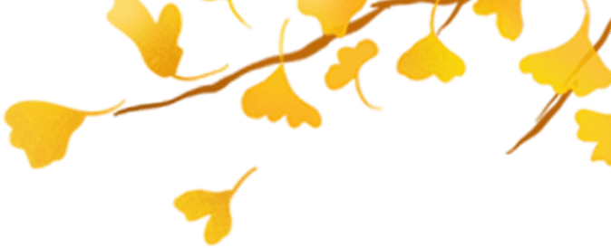 安全套怎么戴？戴两个安全套会更安全吗？