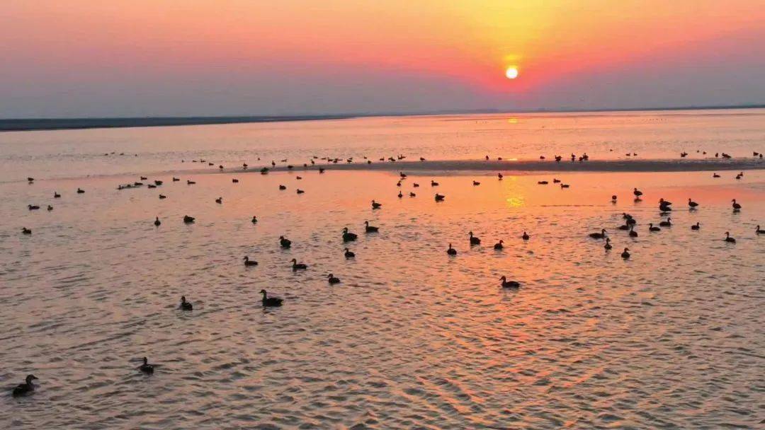 11月，跟着风来感受菏泽的浪漫！