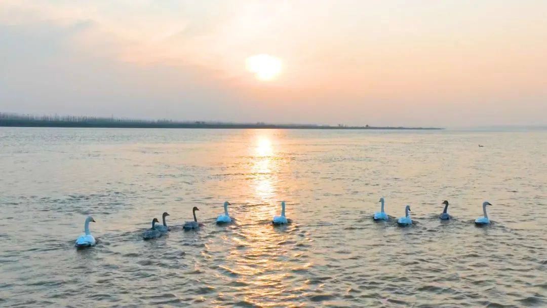 11月，跟着风来感受菏泽的浪漫！