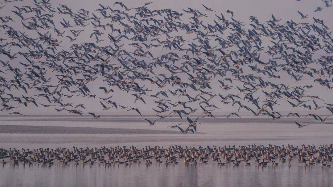 11月，跟着风来感受菏泽的浪漫！