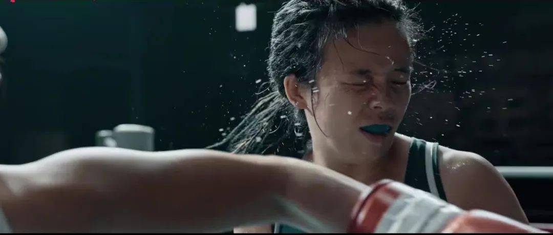 沈腾贾玲雷佳音，2024春节档真可“笑”！