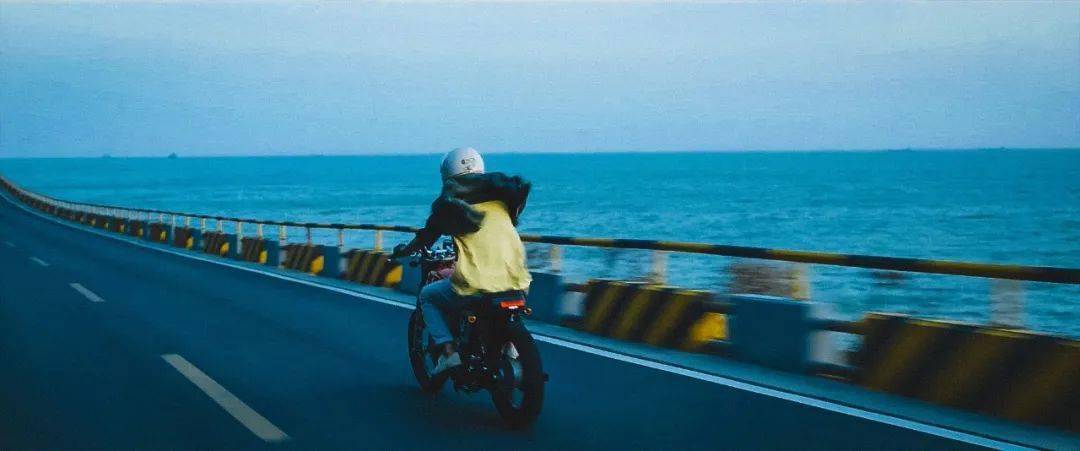 沈腾贾玲雷佳音，2024春节档真可“笑”！