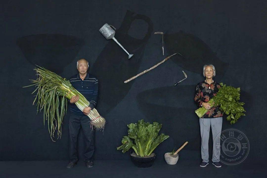 揭晓 | 2023第九届中国国际数码摄影艺术展获奖名单（彩色组）