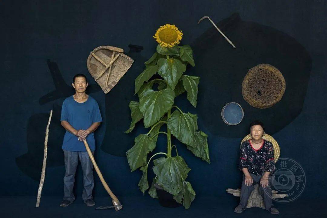 揭晓 | 2023第九届中国国际数码摄影艺术展获奖名单（彩色组）