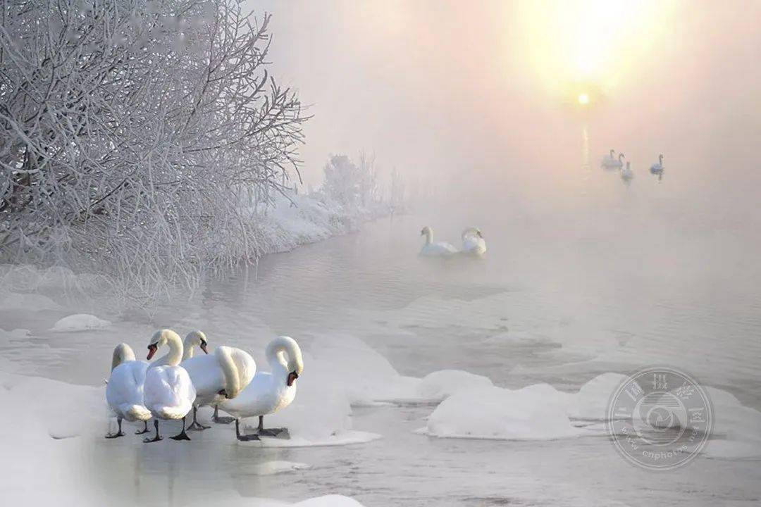 揭晓 | 2023第九届中国国际数码摄影艺术展获奖名单（彩色组）