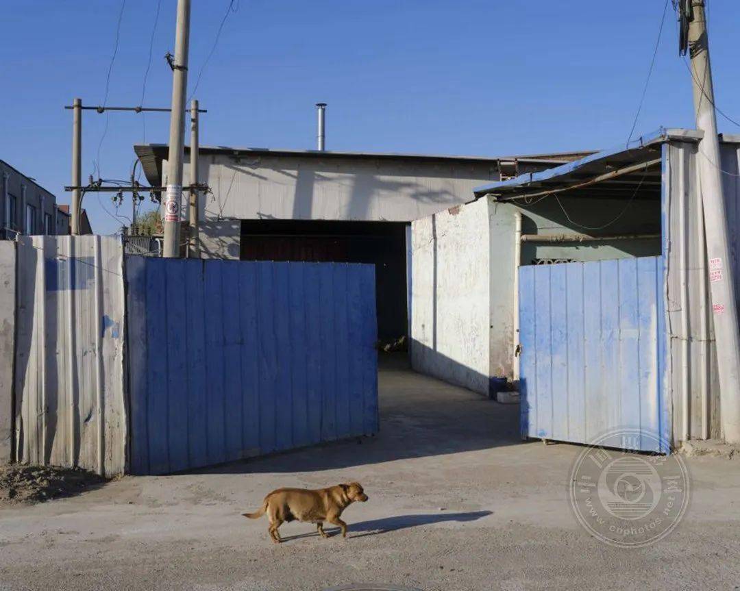 揭晓 | 2023第九届中国国际数码摄影艺术展获奖名单（彩色组）