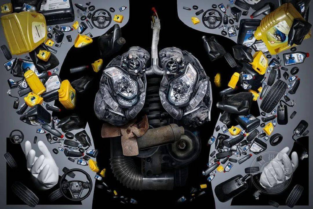 揭晓 | 2023第九届中国国际数码摄影艺术展获奖名单（彩色组）