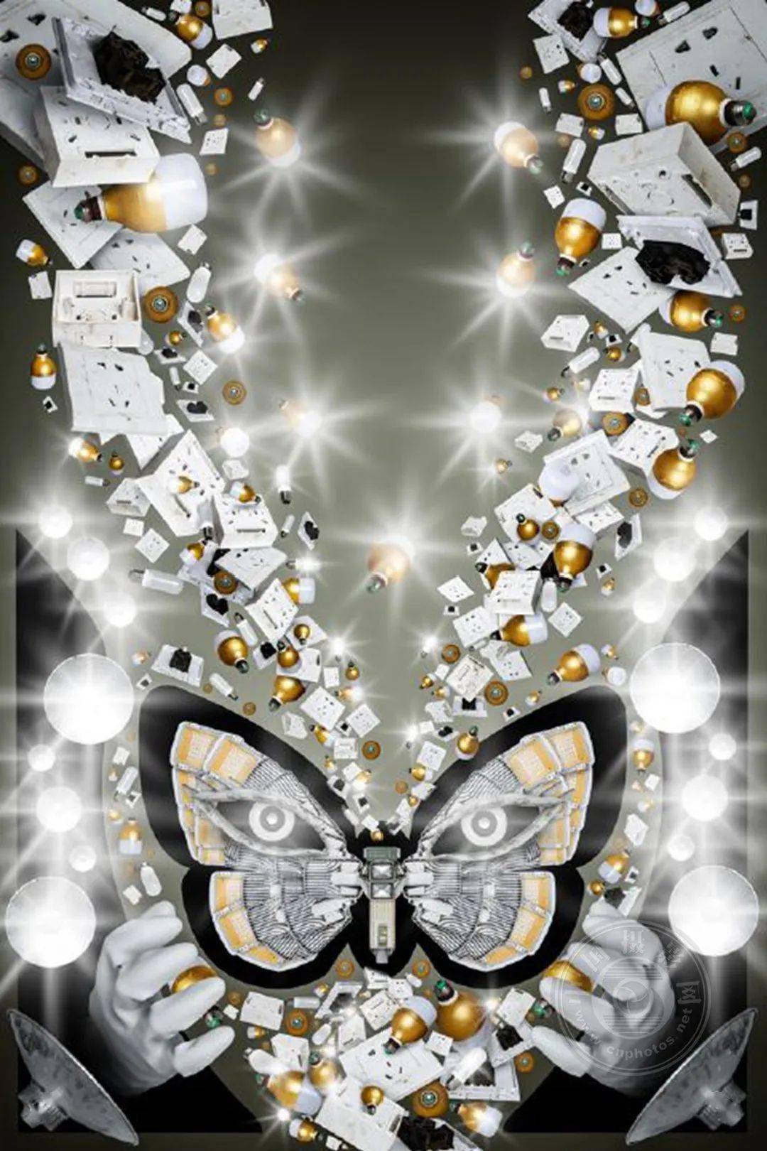 揭晓 | 2023第九届中国国际数码摄影艺术展获奖名单（彩色组）