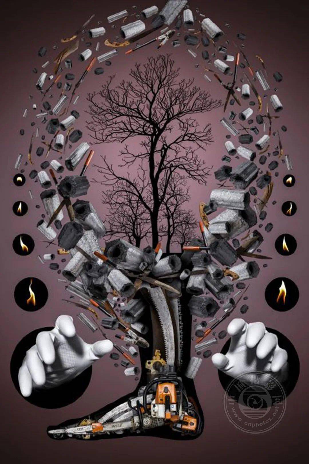 揭晓 | 2023第九届中国国际数码摄影艺术展获奖名单（彩色组）