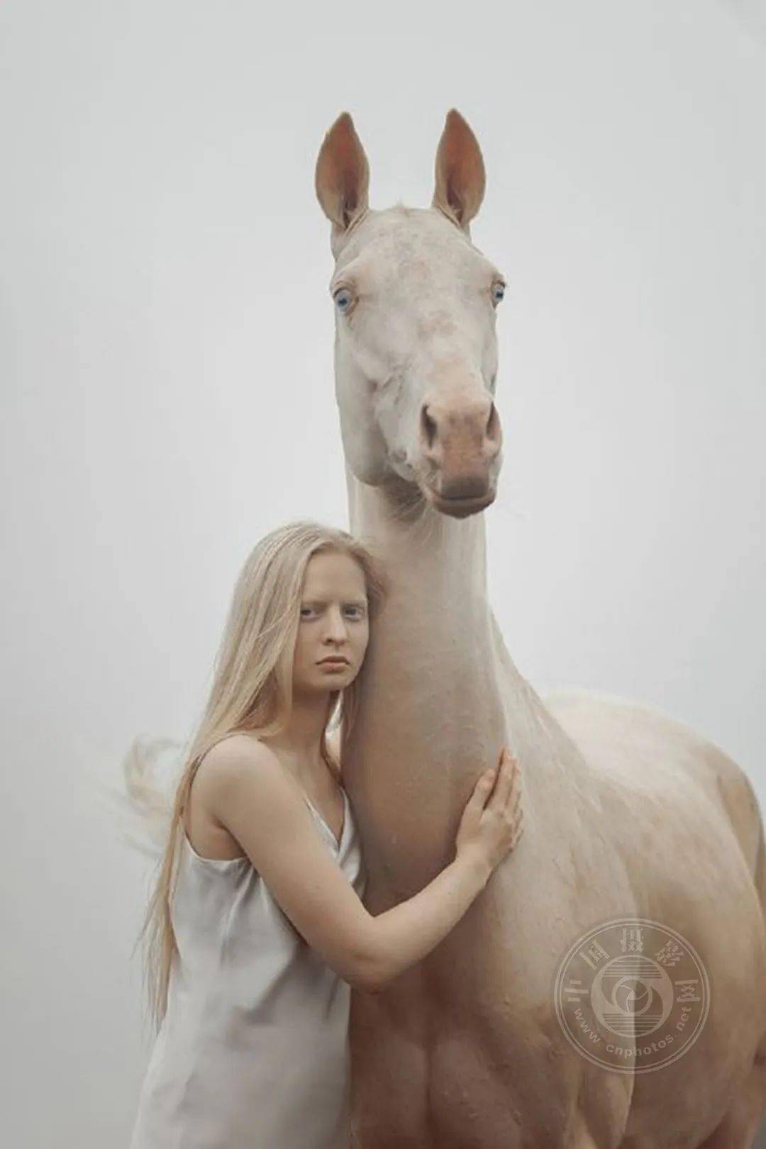 揭晓 | 2023第九届中国国际数码摄影艺术展获奖名单（彩色组）