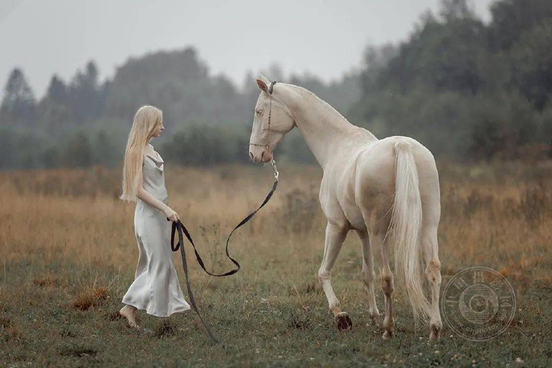 揭晓 | 2023第九届中国国际数码摄影艺术展获奖名单（彩色组）