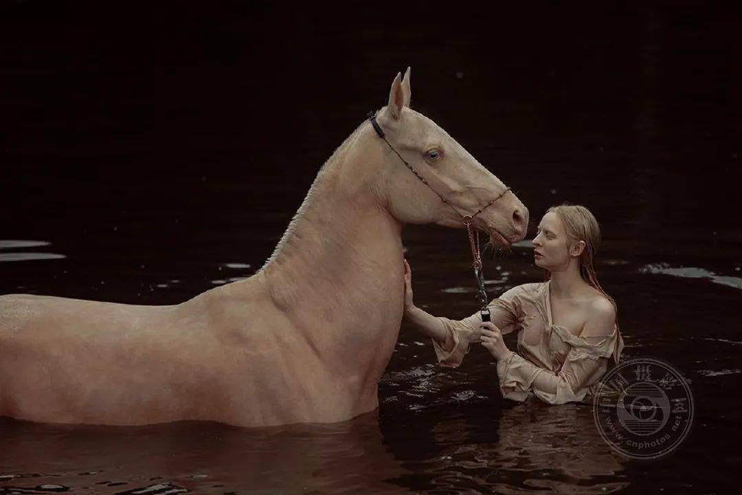 揭晓 | 2023第九届中国国际数码摄影艺术展获奖名单（彩色组）