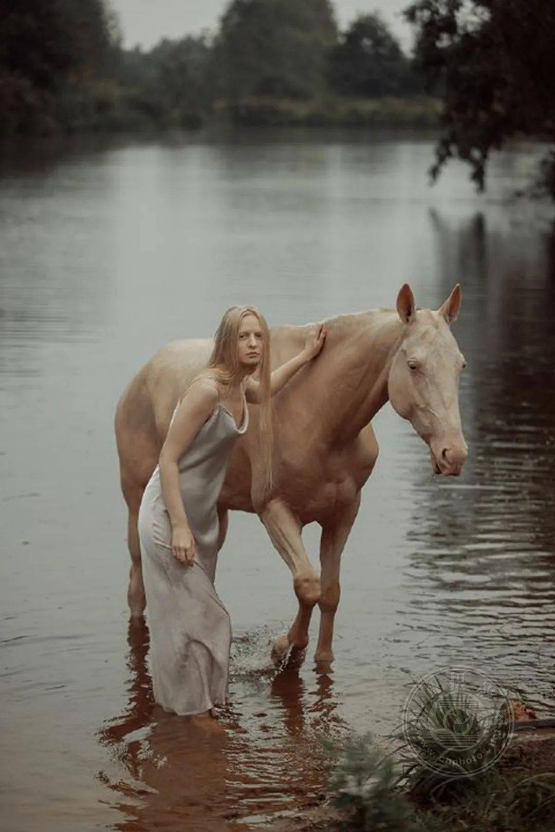 揭晓 | 2023第九届中国国际数码摄影艺术展获奖名单（彩色组）