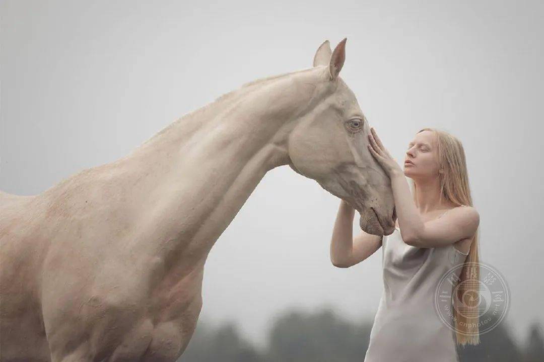 揭晓 | 2023第九届中国国际数码摄影艺术展获奖名单（彩色组）